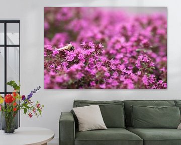 Biene auf violetten Blüten von Ruud Wijnands