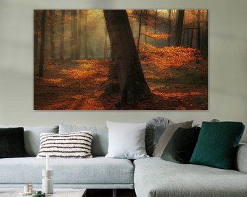 Herbstfarben von Arjen Noord