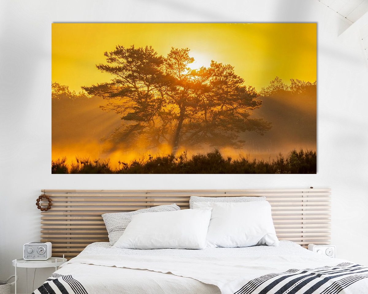 Aperçu de la chambre