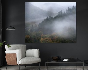 Dennenbomen in de mist rond Burg Eltz op een regenachtige herfstdag in Duitsland. van Jos Pannekoek