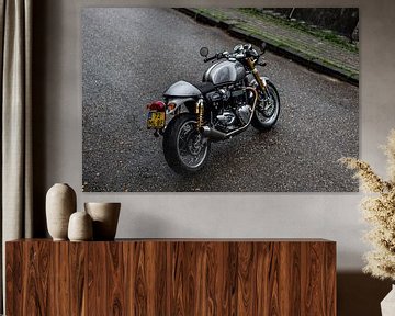 Triumph Thruxton R van Westland Op Wielen