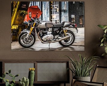 Triumph Thruxton R van Westland Op Wielen