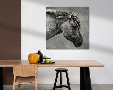 Konik Pferd von Ricardo Bouman