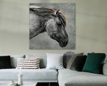 Konik Pferd | Betonstruktur von Ricardo Bouman Fotografie