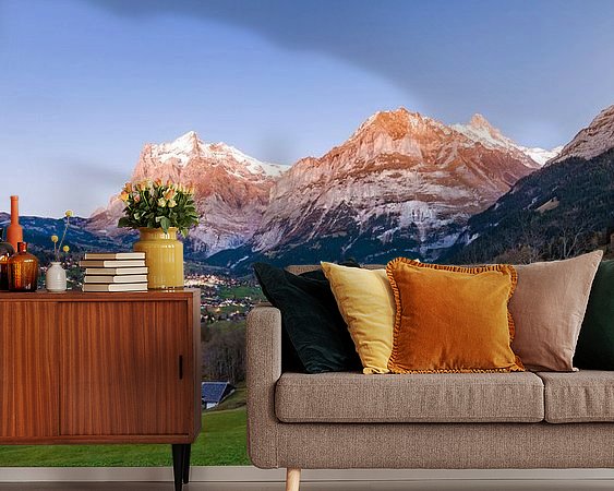 Aperçu de la chambre