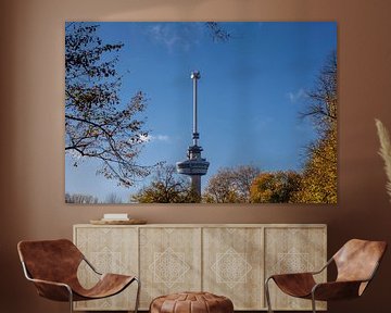Euromast observatietoren in Rotterdam, Nederland. van Tjeerd Kruse