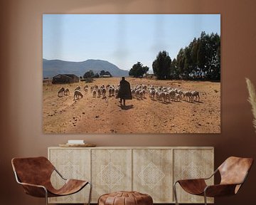 shepherd in lesotho by Christiaan Van Den Berg