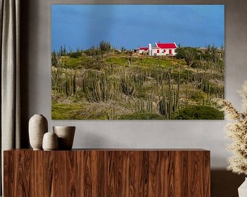 Zuilcactus landschap met oud Arubaans cunucu huis. van Ruurd van der Meulen