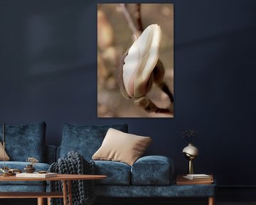 magnolia by Carmen Varo