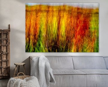 Duingras impressie van Hans Kwaspen