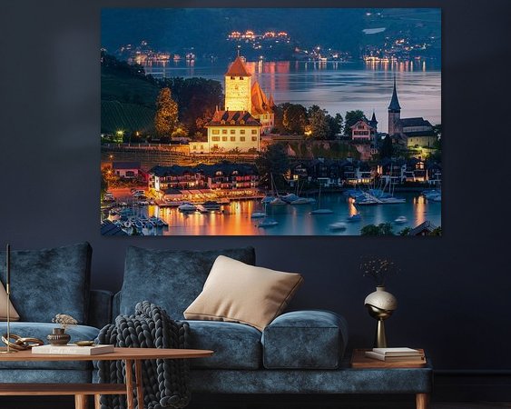 Aperçu de la chambre