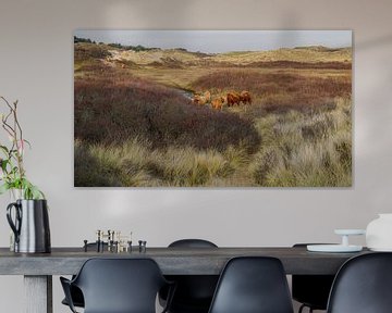 Highlander écossais dans la dune sur Dirk van Egmond