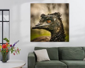 Emoe-Kopfschuss von Wim van Beelen