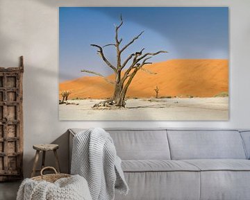 Deadvlei en Namibie sur Jan Schuler