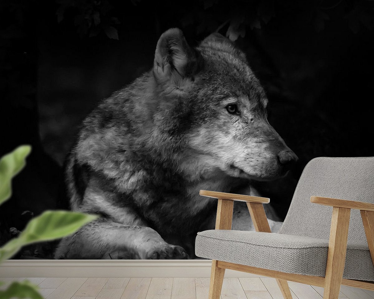Raumvorschau