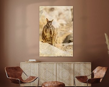 Rock wallaby in Australie I van Geke Woudstra