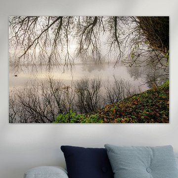 Oude zwembad Sassenheim