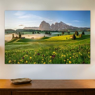 Spring on the Seiser Alm