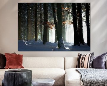 Forest against the light by Jürgen Wiesler
