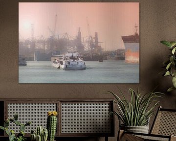 Waalhaven Rotterdam     schepen en kranen van Maarten Visser