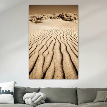 Shapeshifting by robert wierenga