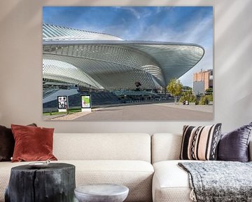 Futuristisch treinstation Luik-Guillemins van Wim Stolwerk