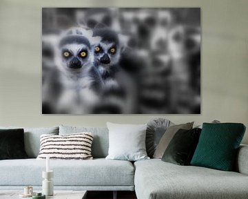 Ring-tailed lemur by Marcel Pietersen