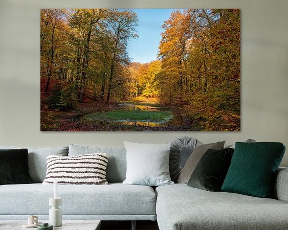 Aperçu de la chambre