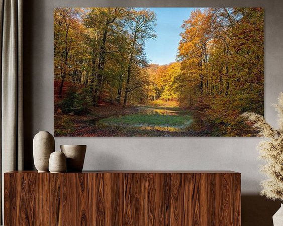 Aperçu de la chambre