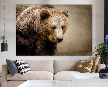 Bear by Claudia Moeckel