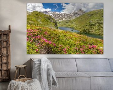 Mountain landscape "Alpine roses with mountain lake" by Coen Weesjes