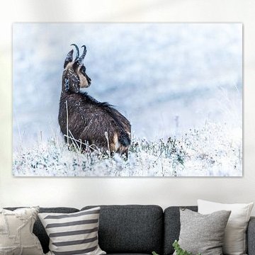 Gemmes sur Stijn Smits