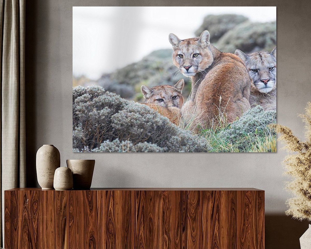 Raumvorschau