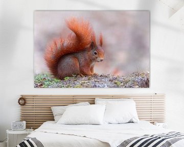 rode eekhoorn van Daniela Beyer