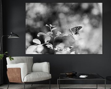 Vlinder in zwart en wit van Chantal Koster