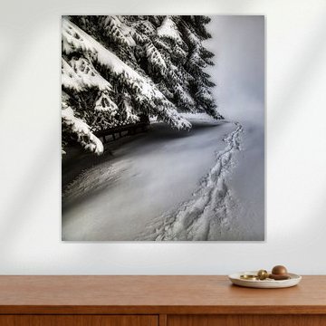 Folgen Sie meinen Schritten