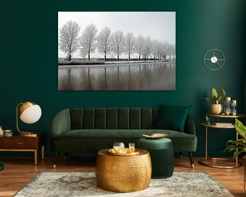 winters bomenlijn aan waterkant van Martin Albers Photography