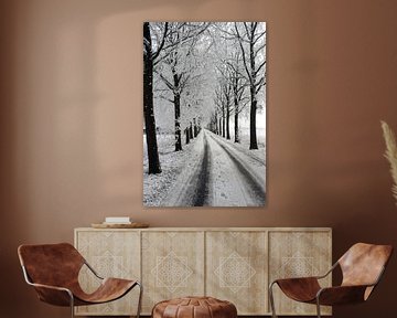 winter laan met bomen landschap van Martin Albers Photography