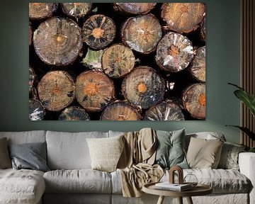 Wunderschöne Muster auf einem Holzhaufen im Wald von Connie Posthuma