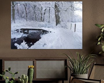 Sneeuw in Gelderland bij Renkum van Rijk van de Kaa