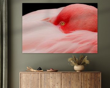 Flamingo in rust van Ilya Korzelius