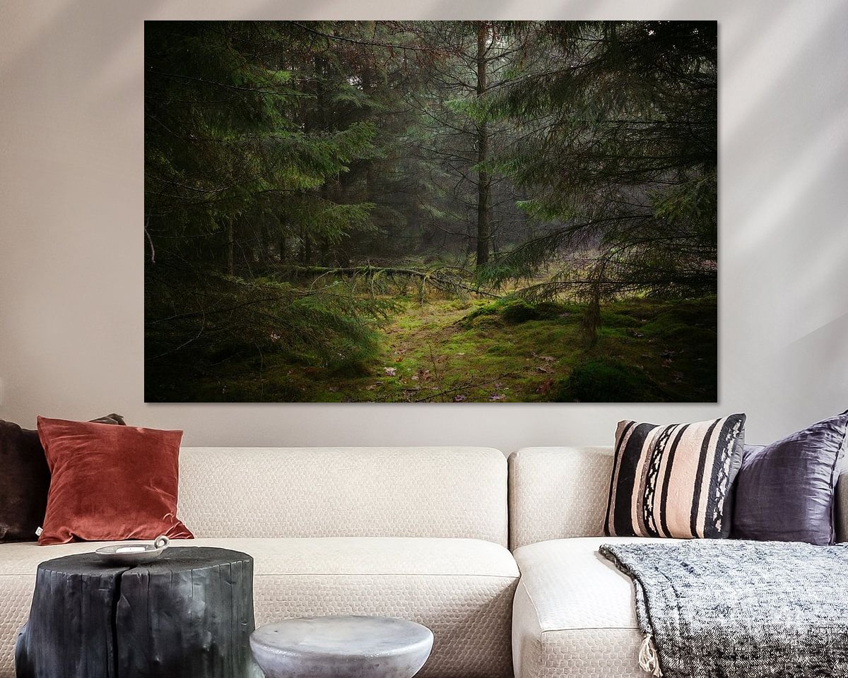 Raumvorschau