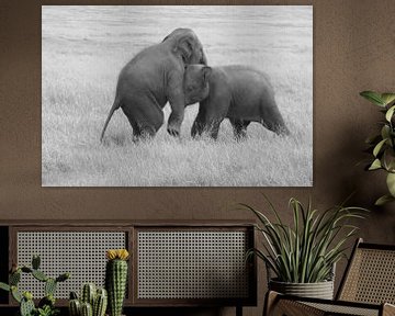 Playfulness Elephants by Inge Hogenbijl