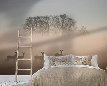 Foggy deer by Anne Vermeer