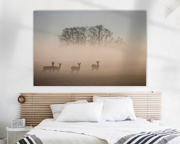 Foggy deer by Anne Vermeer