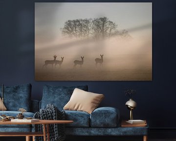 Foggy deer van Anne Vermeer