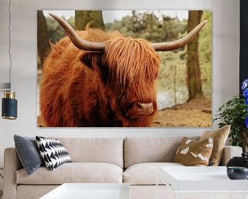 Scottish Highlander by Anne Vermeer