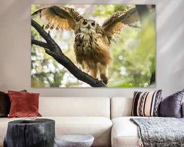 Owl spreading its wings van Anne Vermeer