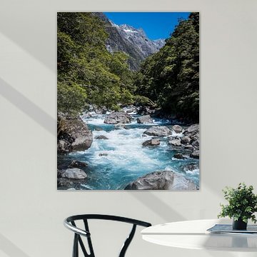 Nouvelle-Zélande sur Anne Vermeer