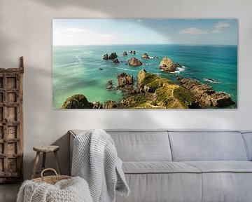 Nugget Point New Zealand by Anne Vermeer